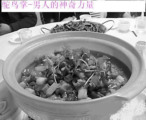 供应鸵鸟掌,鸵鸟筋,批发