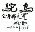 供应鸵鸟筋批发